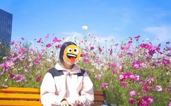 豪杰春香中文版全集